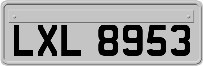 LXL8953
