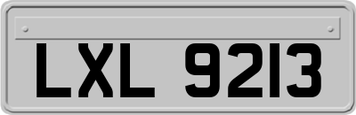 LXL9213