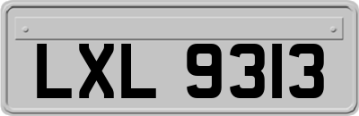 LXL9313