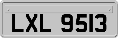 LXL9513