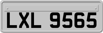 LXL9565