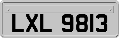 LXL9813