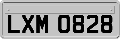 LXM0828