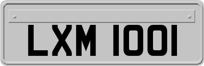 LXM1001
