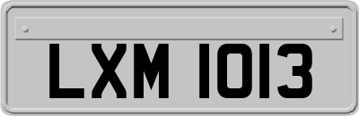 LXM1013