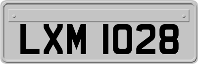 LXM1028