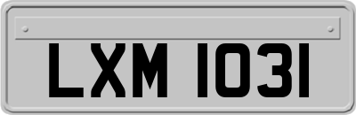 LXM1031