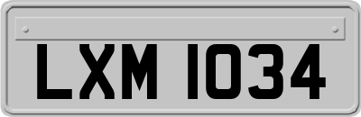 LXM1034