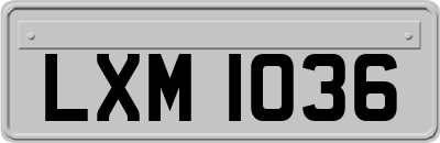 LXM1036