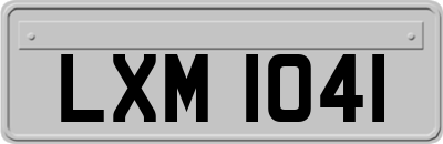 LXM1041