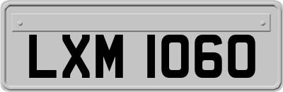 LXM1060