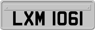 LXM1061