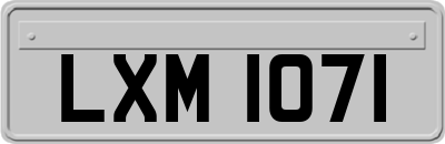 LXM1071