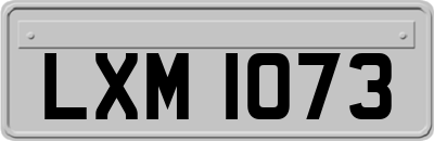 LXM1073