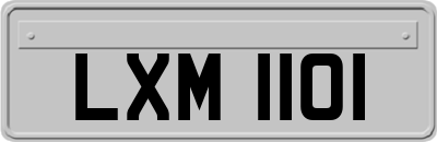 LXM1101