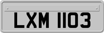 LXM1103