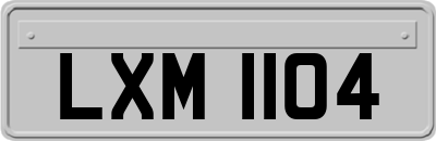 LXM1104