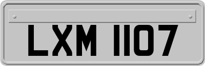 LXM1107