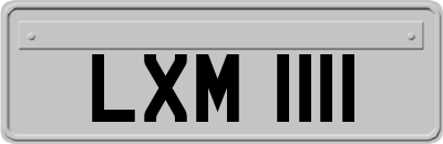 LXM1111