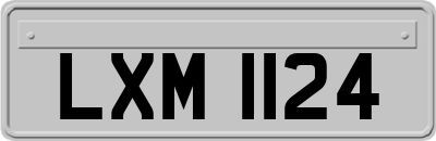 LXM1124
