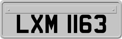 LXM1163