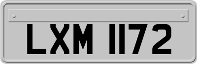 LXM1172