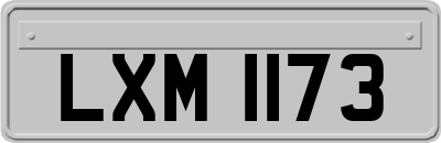 LXM1173