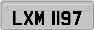 LXM1197