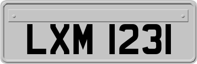 LXM1231
