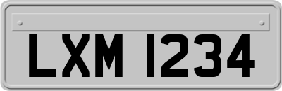 LXM1234