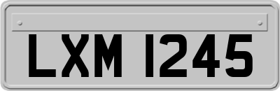LXM1245