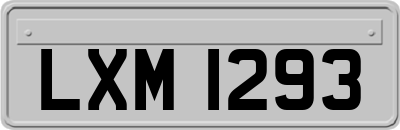 LXM1293