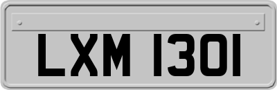 LXM1301