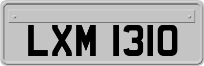 LXM1310