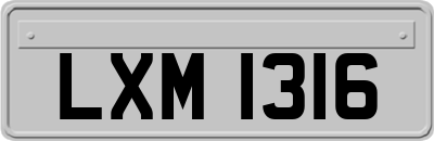 LXM1316