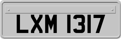 LXM1317