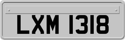 LXM1318
