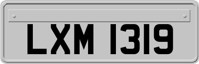 LXM1319