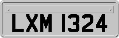 LXM1324