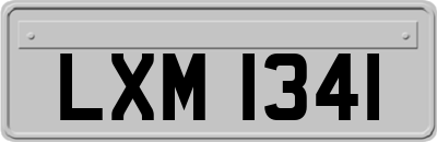 LXM1341