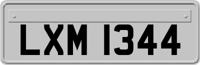 LXM1344