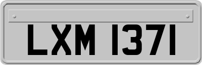 LXM1371