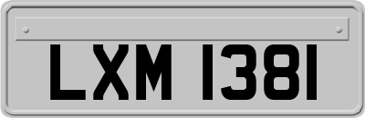 LXM1381
