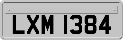 LXM1384