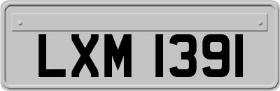 LXM1391