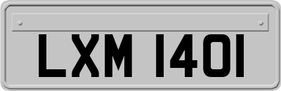 LXM1401