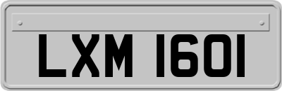 LXM1601