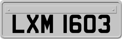 LXM1603