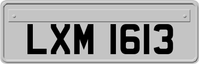 LXM1613