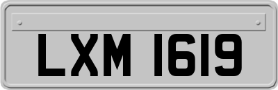 LXM1619